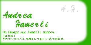 andrea hamerli business card